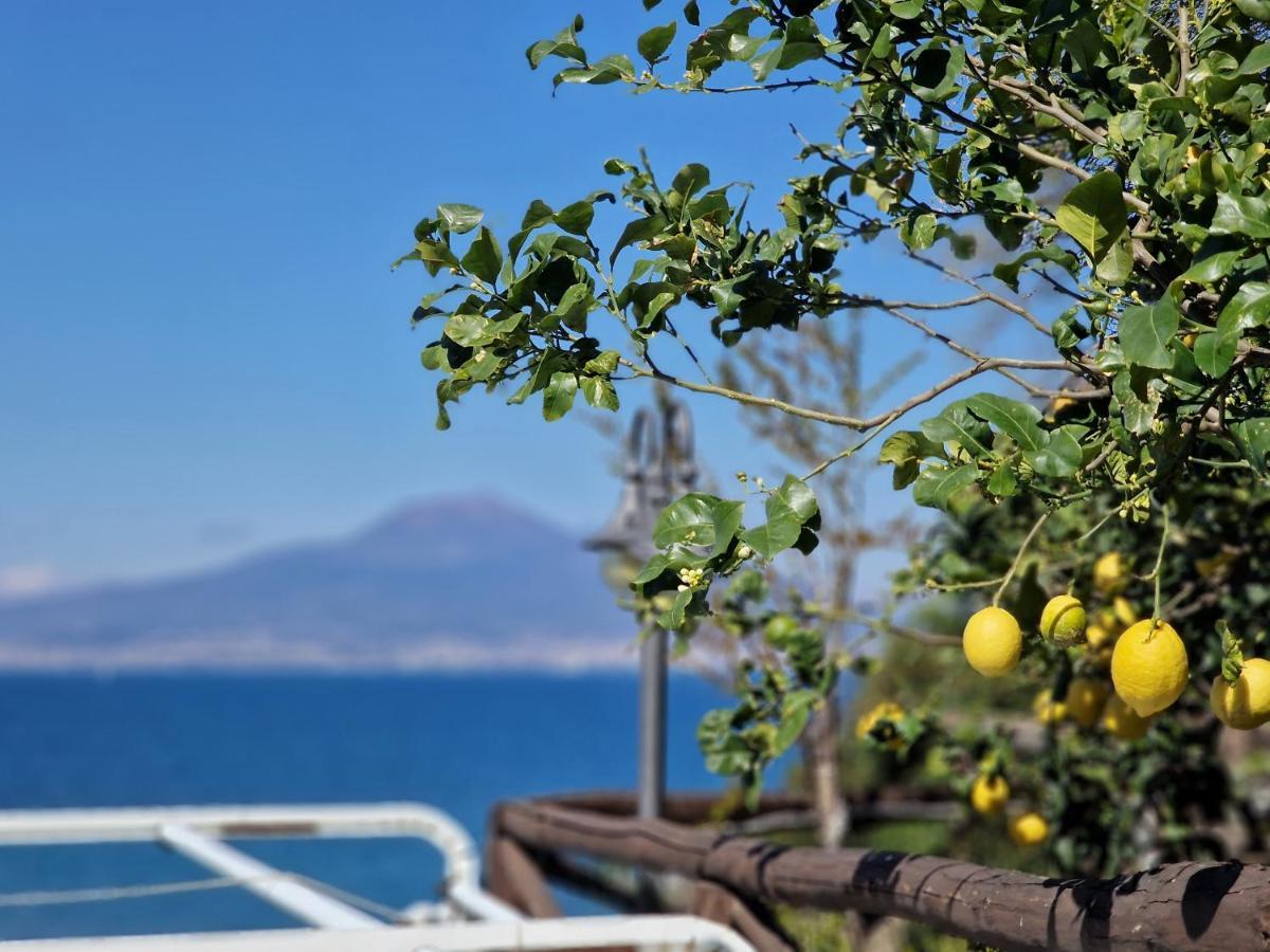 شقة Vico Di Mare فيكو إيكوينس المظهر الخارجي الصورة